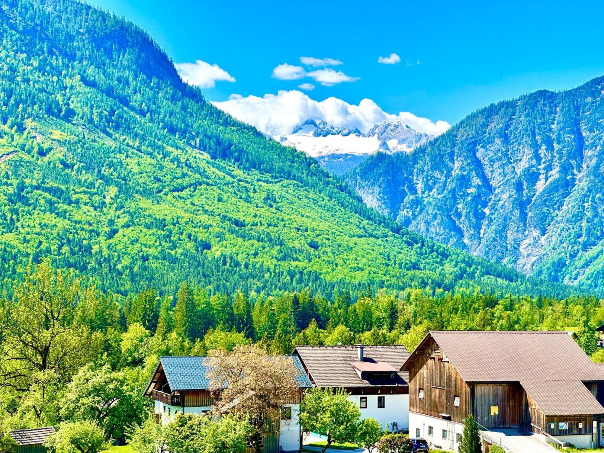 Das Alpenzeit Appartement Mit Just Private Terrasse (Adults Only) Bad Aussee Exterior photo